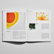 Flatlay of The Ordinary Ingredients hardcover book open to a page that displays controversies and everything is chemicals