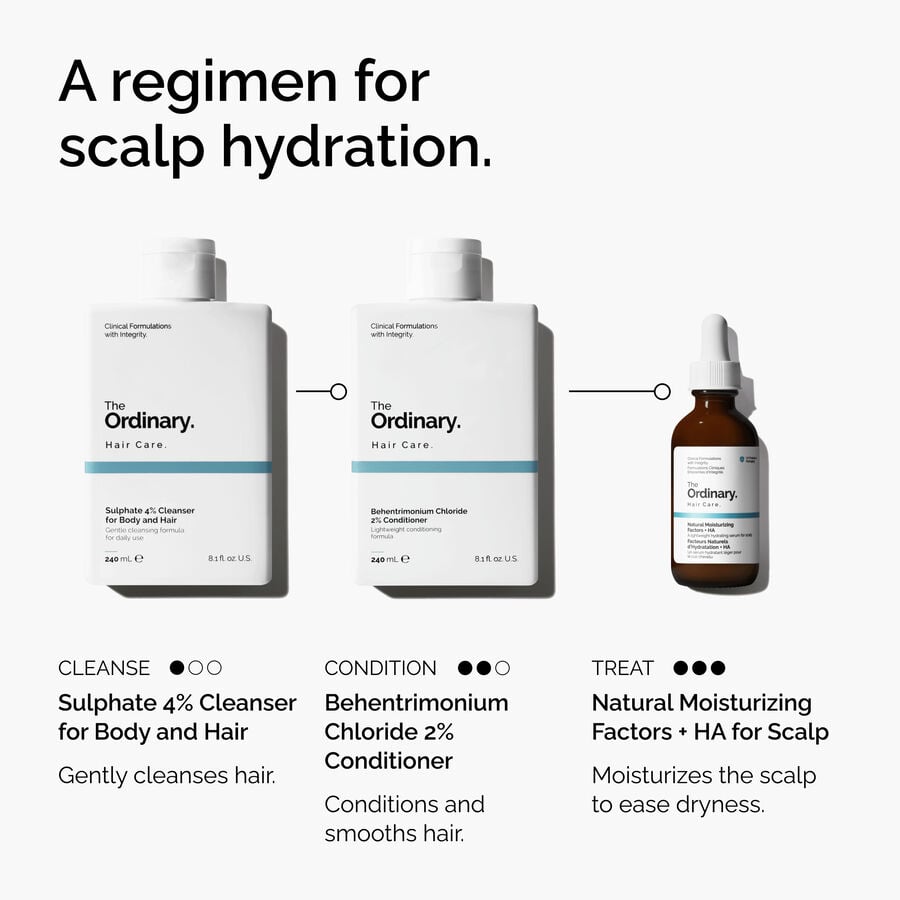 Regimen Infographic Natural Moisturizing Factors + HA for Scalp