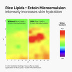 Thermal map comparison showing that skin with Rice Lipids + Ectoin Microemulsion has significantly higher water content (indicated in red) compared to skin without the product.