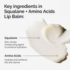 Key Ingredients of the Squalane + Amino Acids Lip Balm